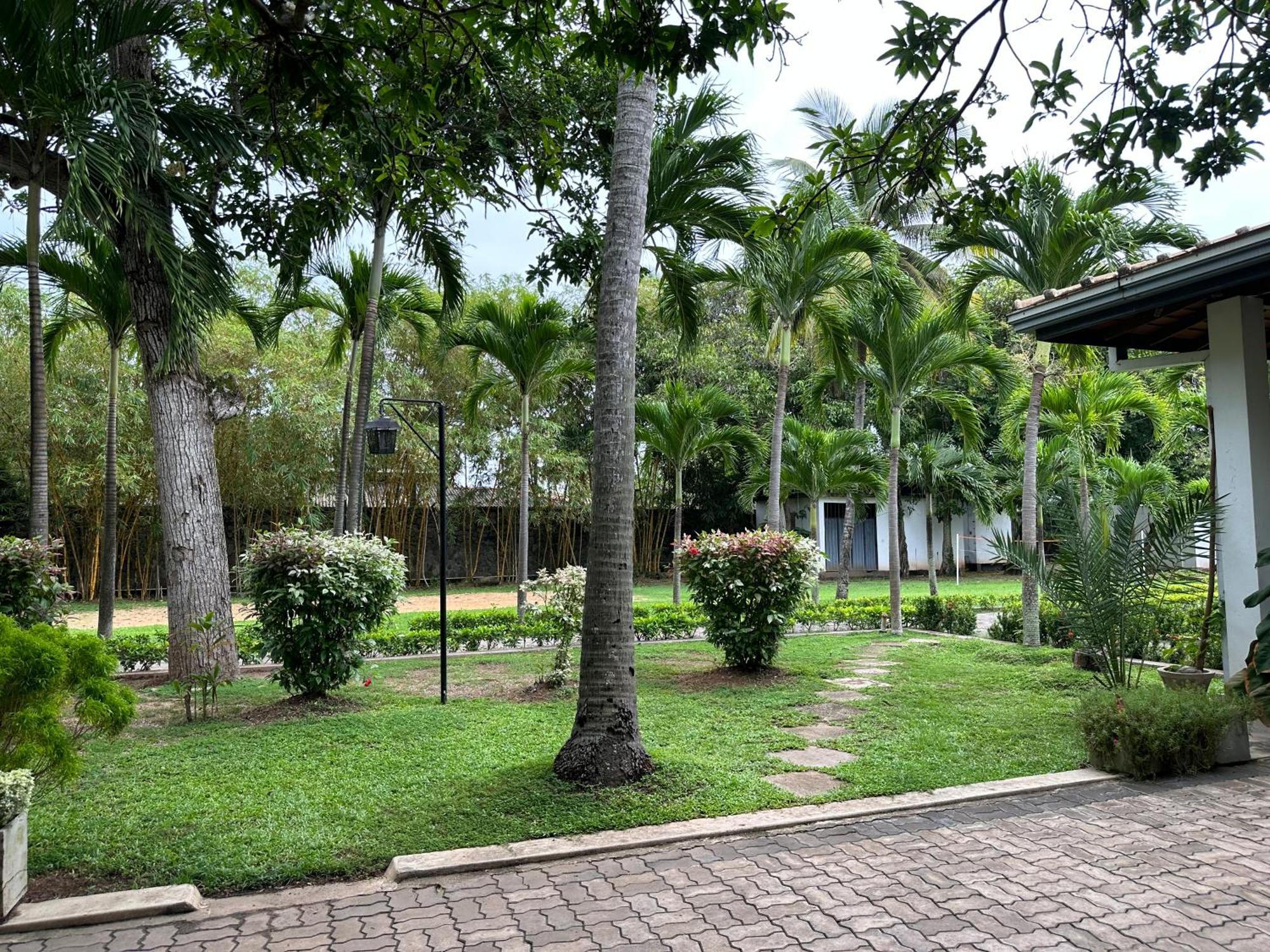 Amaluna Resorts Negombo Eksteriør bilde