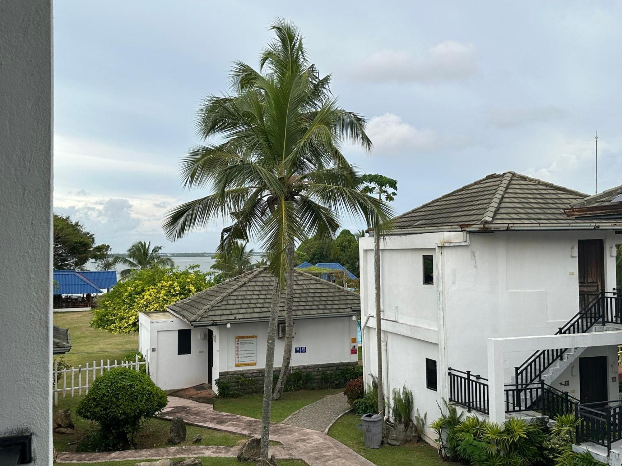 Amaluna Resorts Negombo Eksteriør bilde