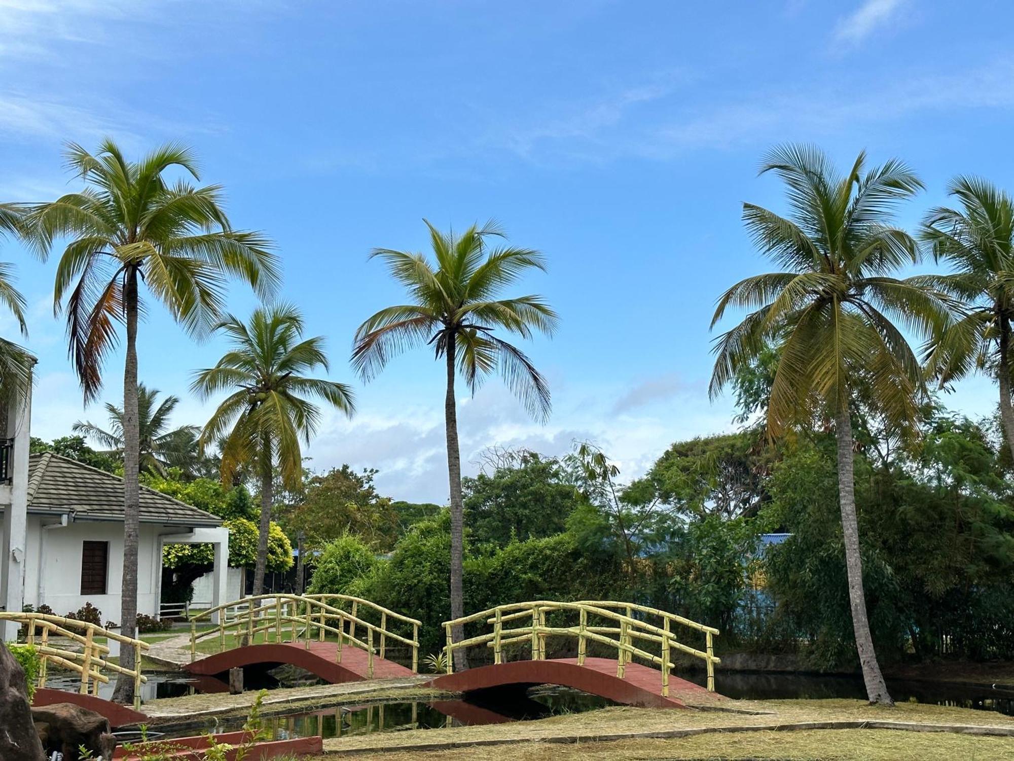 Amaluna Resorts Negombo Eksteriør bilde